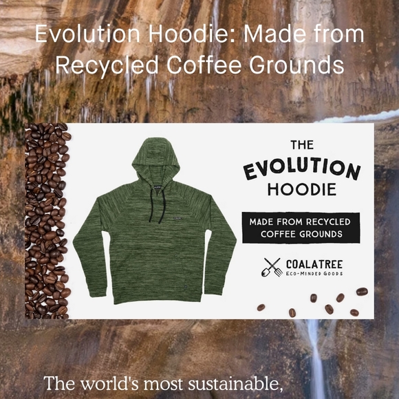 Evolution Hoodie - Picture 4 of 4